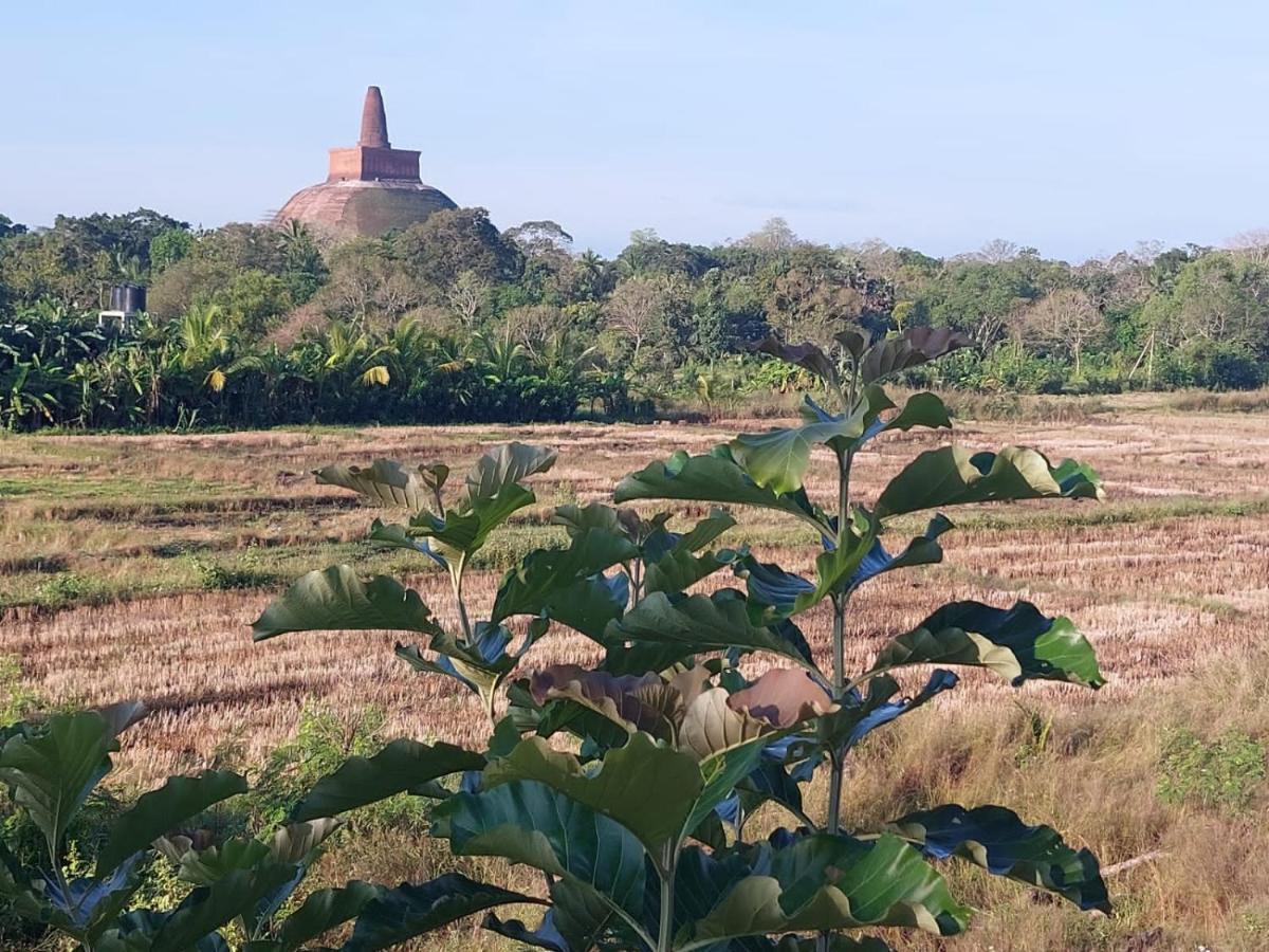 Green Shield Resort Anuradhapura Esterno foto