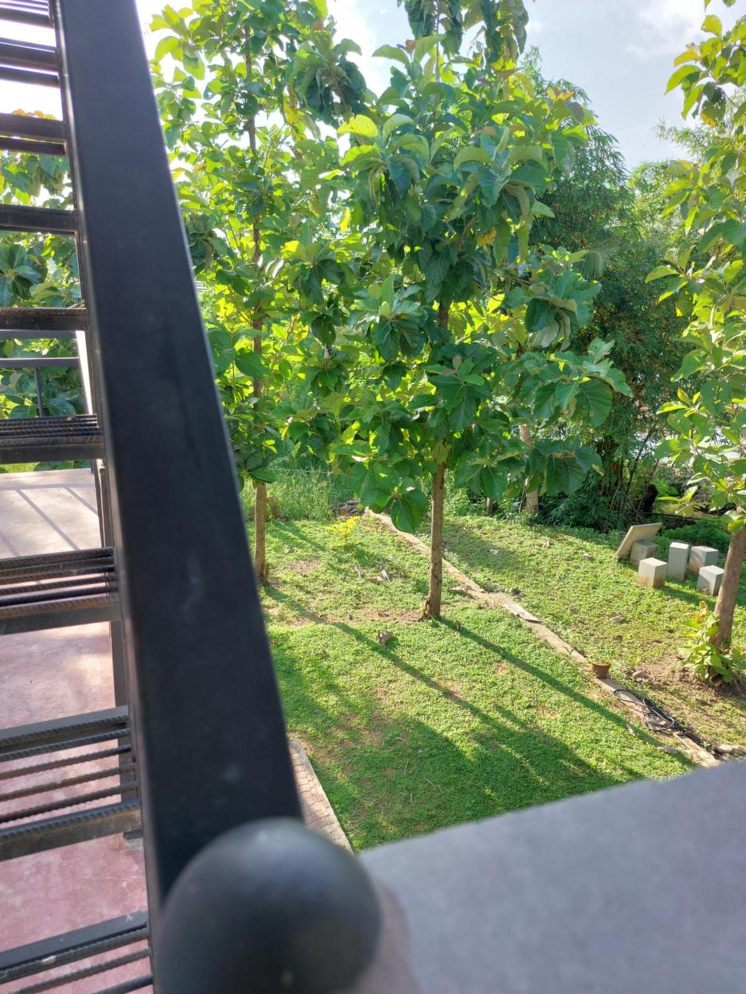 Green Shield Resort Anuradhapura Esterno foto