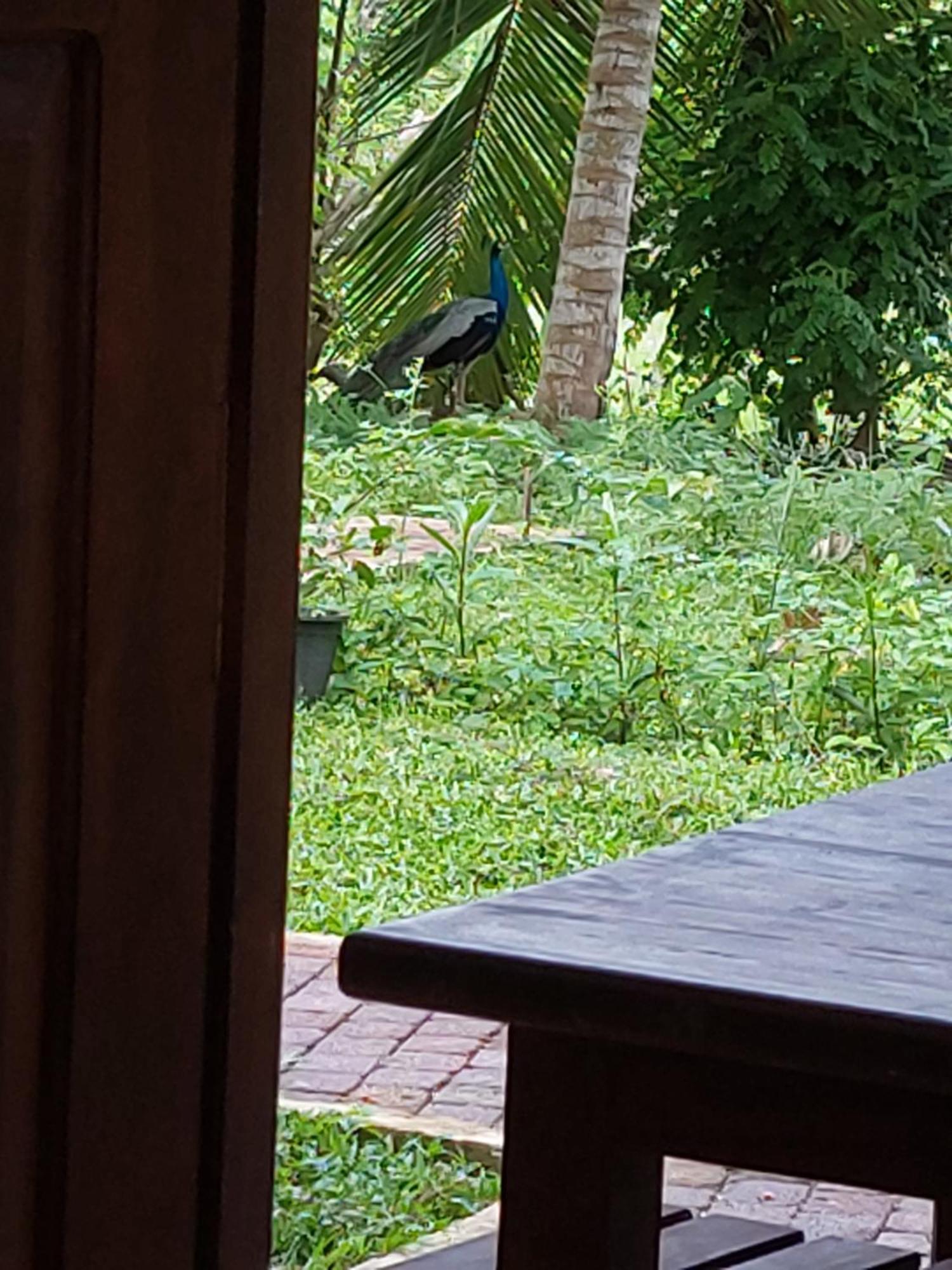 Green Shield Resort Anuradhapura Esterno foto