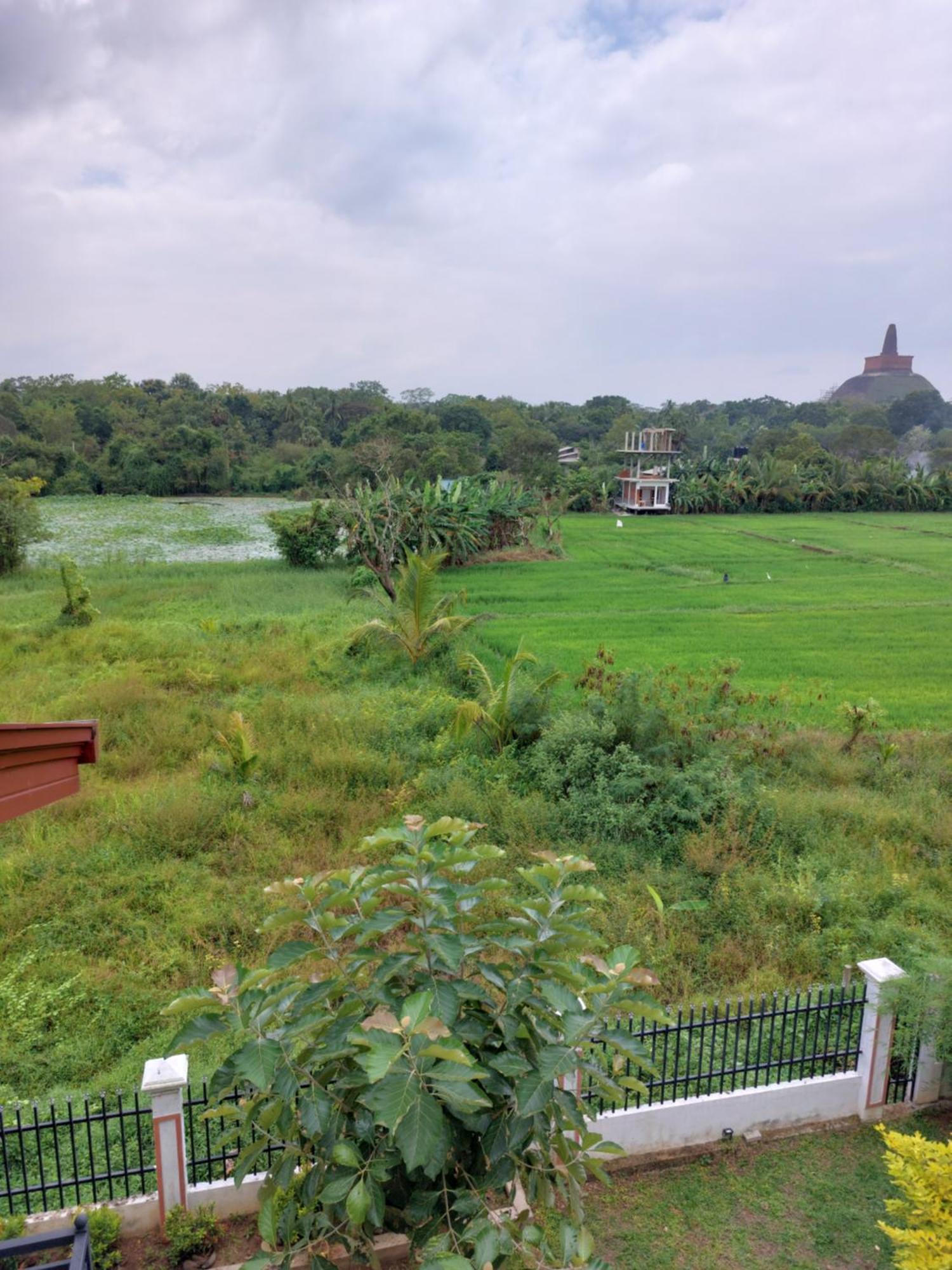 Green Shield Resort Anuradhapura Esterno foto