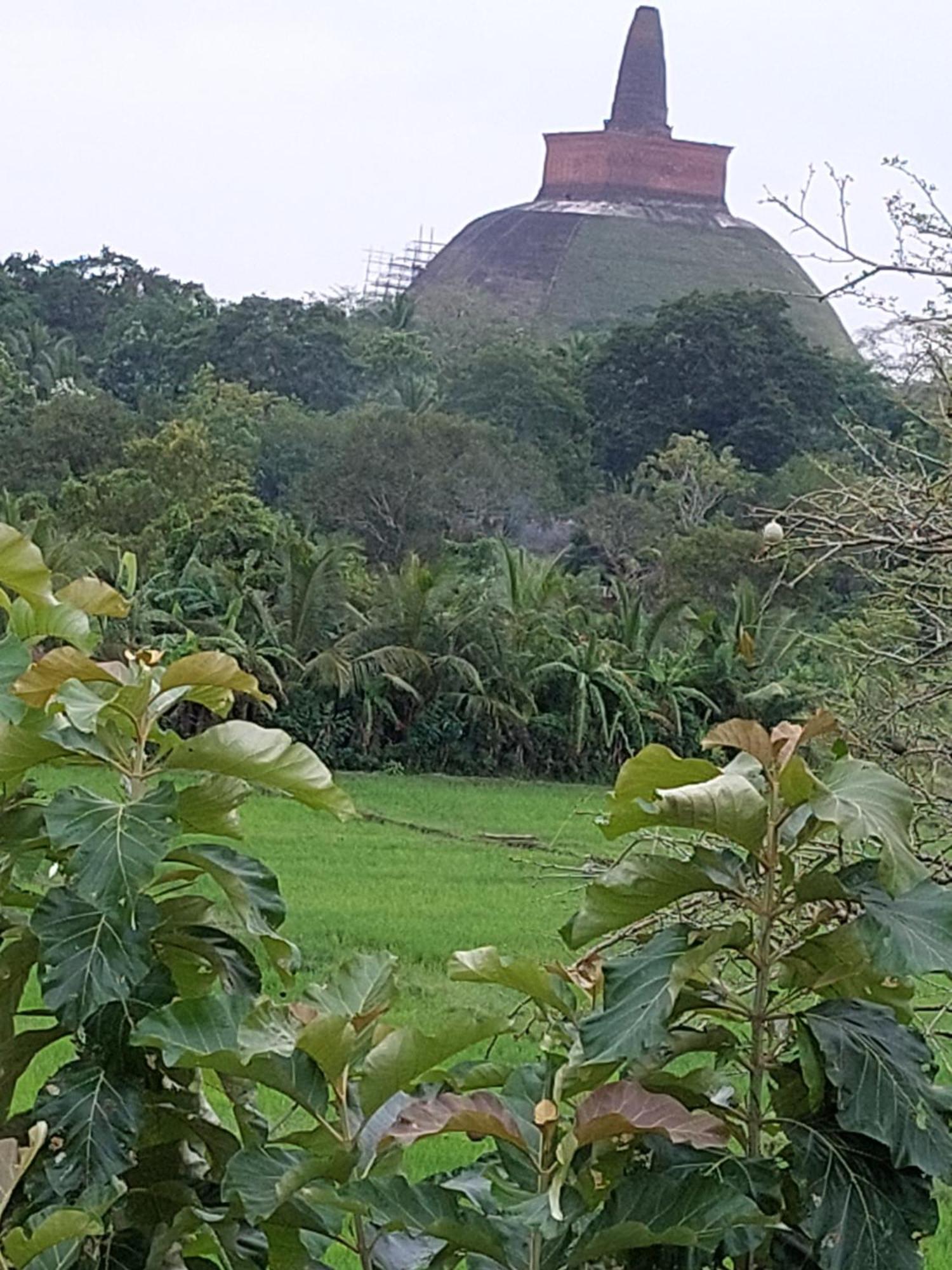 Green Shield Resort Anuradhapura Esterno foto