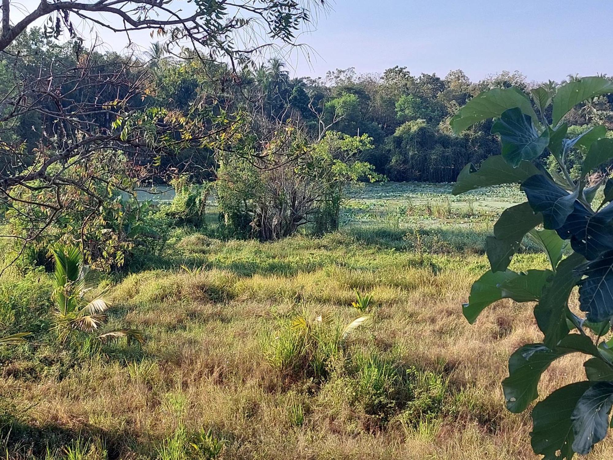 Green Shield Resort Anuradhapura Esterno foto